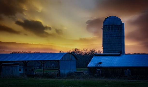 istock Ariel view of farm silo 2194730179