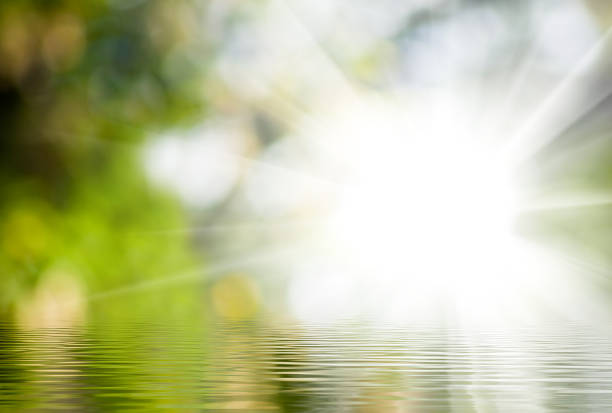 istock Sunlight reflecting on a tranquil water surface amidst a vibrant natural setting 2194730557