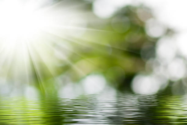 istock Reflections of sunlight dance on tranquil water with lush greenery in the background during a serene afternoon 2194730566
