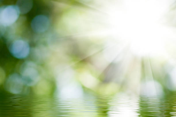 istock Bright sunlight filtering through lush green foliage creates a serene and tranquil atmosphere over calm water 2194730570
