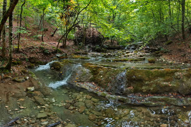 istock The river in the shadow of the gorge 2194731391