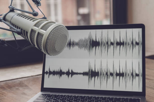 istock Professional microphone and sound wave form on laptop screen 2194732004