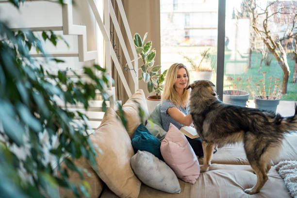 istock Relaxed Caucasian Woman Reading on Sofa with Loyal Dog 2194737305