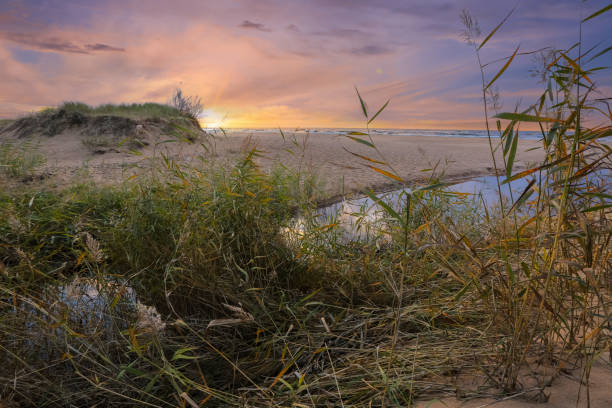 istock Sunset at the beach Saulkrasti, Rigas bay, Latvia 2194741508