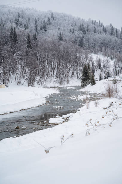 istock Imagine a beautiful river flowing gracefully through a snowy forest, where the trees are blanketed in a thick layer of soft, white snow, creating a serene winter wonderland atmosphere 2194741823