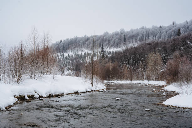 Nestled in the picturesque, snowy forest, there meanders a serene river that gracefully weaves through and enhances the wondrous, breathtaking natural landscape that envelops it on all sides