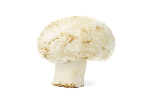 Straw mushrooms or Volvariella volvacea or paddy straw mushroom isolated on white backgroud top view flat lay stack.