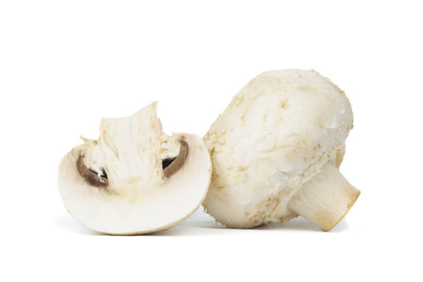istock group of mushroom isolated on white background 2194742194