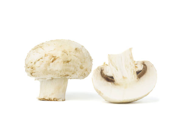 istock group of mushroom isolated on white background 2194742195