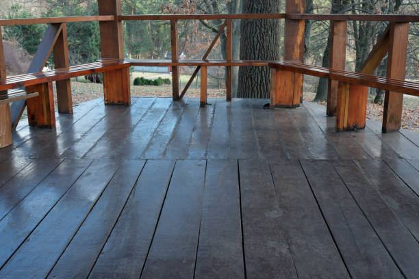 istock Wooden platform surrounded by nature in tranquil afternoon light 2194743898