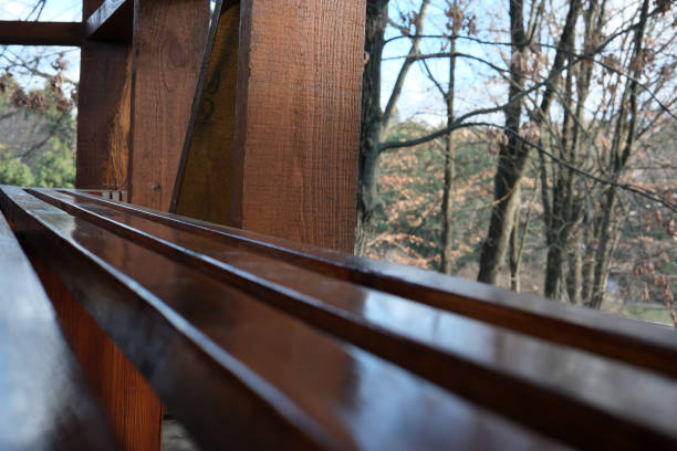Sunlight dances on a polished wooden bench surrounded by serene trees.