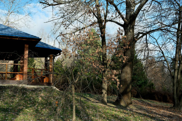 A cozy cabin nestled among trees under a bright blue sky.