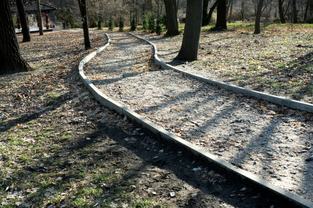 istock Winding pathway through a serene wooded park in autumn sunlight 2194743947