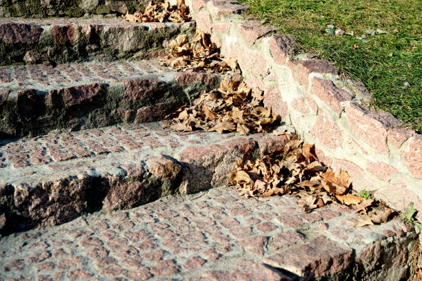 Leaves scatter across ancient stone steps in a tranquil park setting.