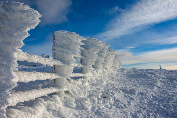 Winter nature.