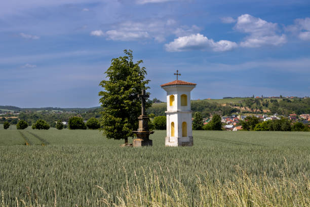 Fresh green field with a tree and a low hill in the background. Cross and Gods torment in the field. Blue sky with white clouds in the spring. Pustimer, Moravia (Morava), Czech republic.