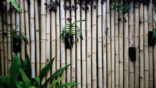 istock Natural Bamboo Wall with Green Tropical Plants and Orchids Creating a Rustic and Organic Garden Ambience 2194748572