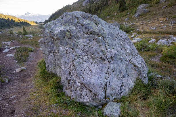 A large boulder stands prominently in a picturesque mountain landscape in BC, Canada, enveloped by lush greenery and bathed in soft sunlight.