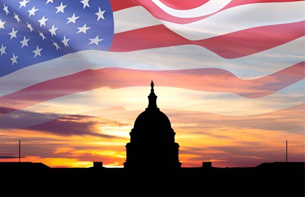 istock Silhouette of the U.S. Capitol 2194752419