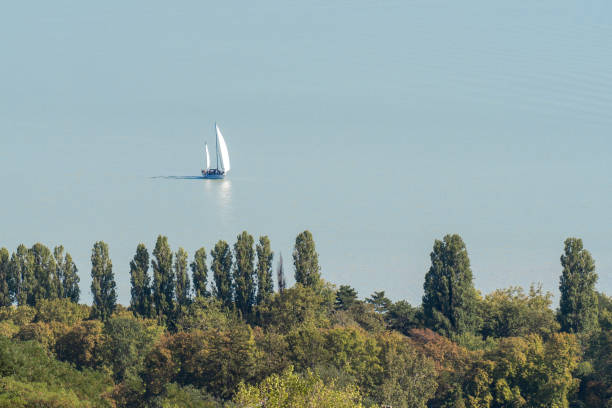 Sailboat on Lake Balaton with Forest View in Hungary