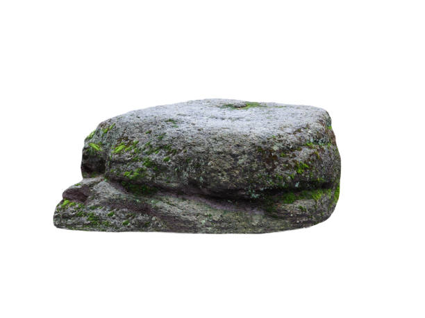 istock wet stone overgrown with moss isolated on white background 2194757720