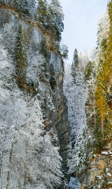 istock Rocky gorge of Partnachklamm Bavaria 2194763143