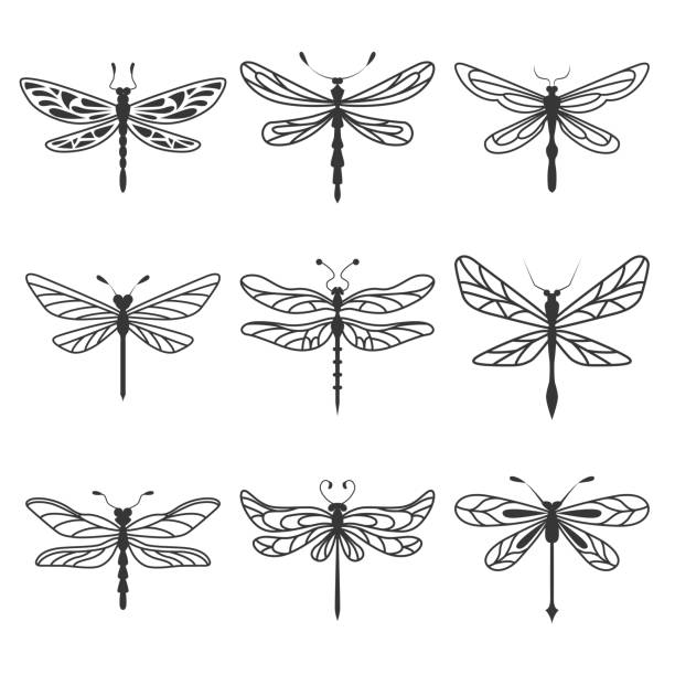Nine dragonfly silhouettes in black and white with elegant wing patterns Set of nine dragonfly silhouettes in black and white with elegant wing patterns dragonfly stock illustrations