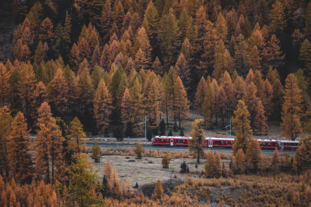 Swiss train through colorful autumn landscape, Engadine