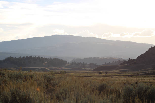 Slough Creek area of Yellowstone National Park toward sunset with mountain in background and grassland on September 15, 2024