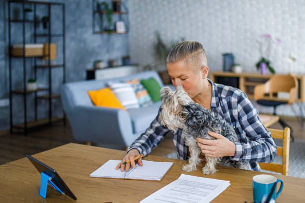 istock Beautiful woman working from home while her dog sits on the desk 2194772257