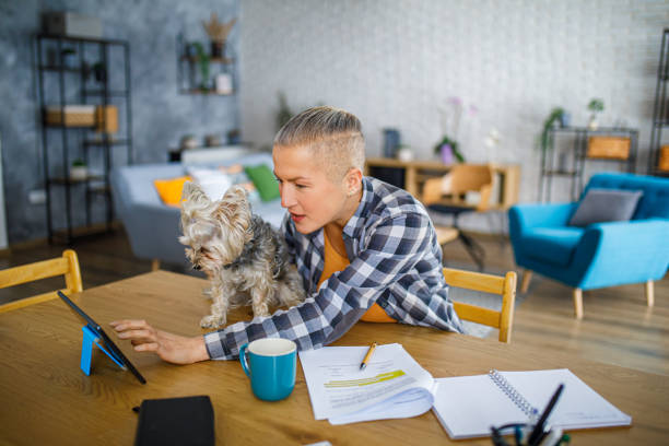 istock Beautiful woman working from home while her dog sits on the desk 2194772336