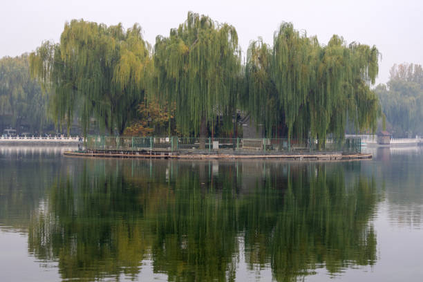 Beijing, China-11 Nov 2024: View of Shichahai located in Beijing. Shichahai is a historic scenic area consisting of three lakes in the north of central Beijing