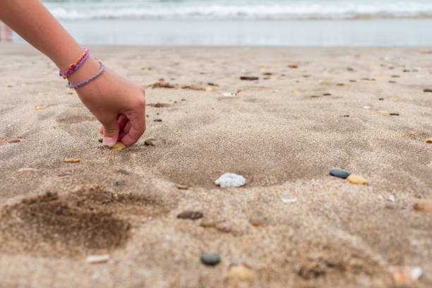 istock Child's hand picking up shells from the beach with copy space. 2194775787