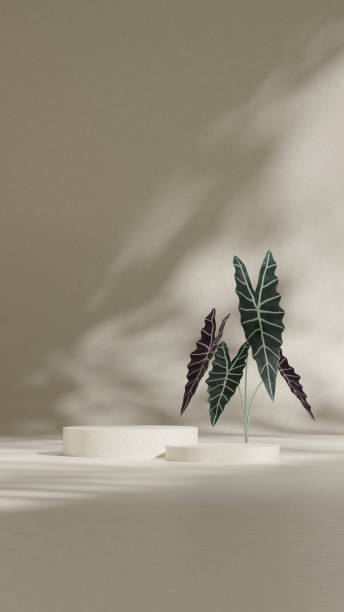 istock empty scene ceramic texture curved cylinder podium in portrait minimal scene, 3d render image 2194779570
