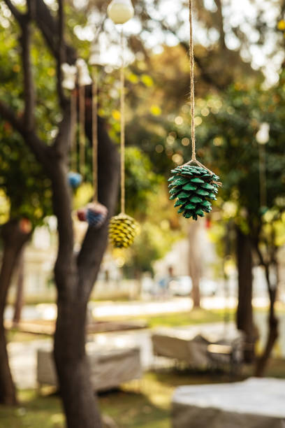 Colorful pine cones hanging in sunlit park.