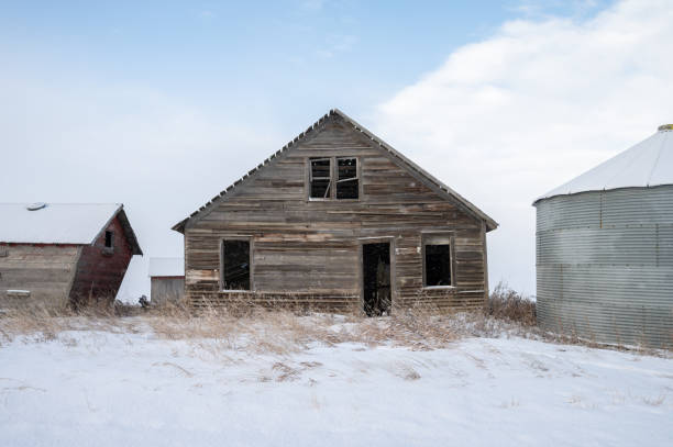 An old wooden shed or barn with a tin smoke stack.  Grassy and small aspen trees surrounding.  Image taken in the early morning in  fall.  Rural scene in Alberta