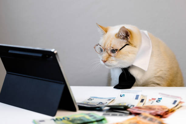 istock Cat wearing glasses, a white collar, and a black tie intently looks at a tablet on a table with euro bills. analyze financial data. 2194784295