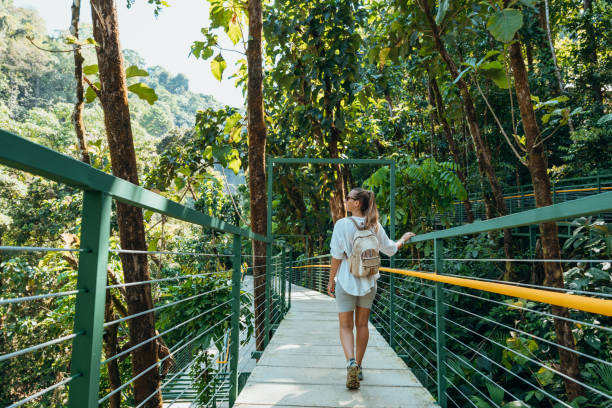 Woman Walking on Elevated Forest Trail with Backpack