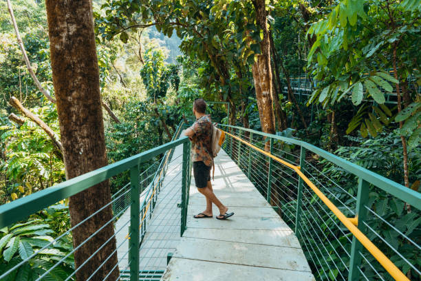 istock Man Enjoying Scenic View on Jungle Walkway 2194797488