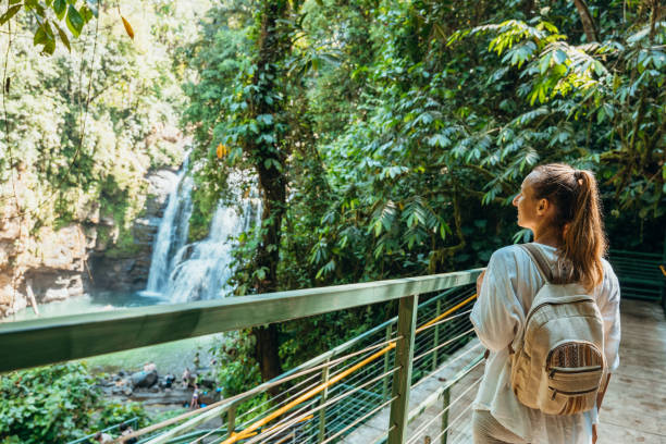 istock Woman Admiring Waterfall from Jungle Bridge 2194797573