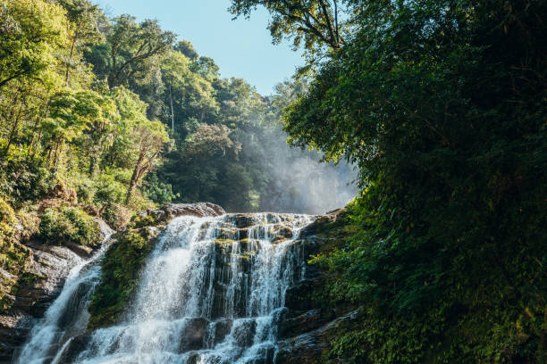 Cascading Waterfall in Lush Green Forest