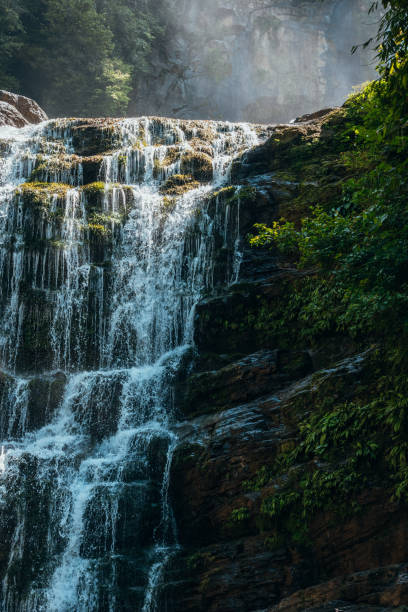 Majestic waterfall streaming over rocky terrain in dense forest. Sunlight filters through leaves, creating a serene atmosphere.