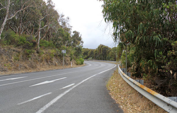 istock Great Ocean Road winding through trees in Victoria, Australia 2194799014