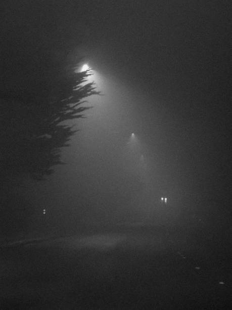 istock Misty, Foggy Road at Night 2194799052
