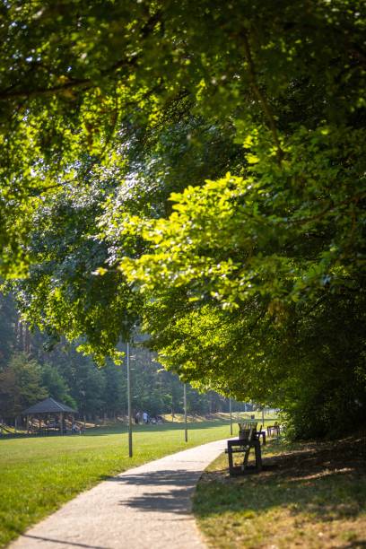 istock Serene park scene with lush green trees and pathway. 2194799219