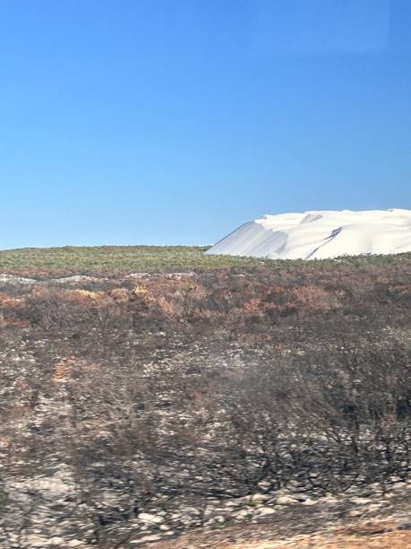 istock After bush fire in Wanagarren Nature Reserve, in Western Australia, is a pristine wilderness featuring coastal dunes, diverse wildlife, wildflowers, and serene trails, offering a peaceful escape into nature. 2194802170