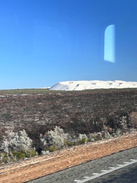 After bush fire in Wanagarren Nature Reserve, in Western Australia, is a pristine wilderness featuring coastal dunes, diverse wildlife, wildflowers, and serene trails, offering a peaceful escape into nature.