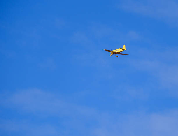 Batumi, Georgia - December 09, 2024: Airplane in the blue sky. DHL cargo