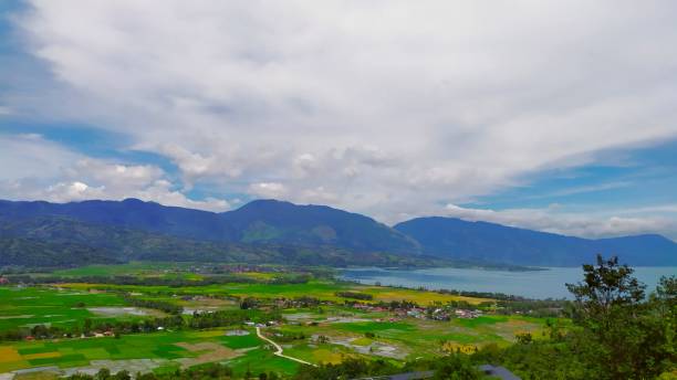 istock Scenic View of Green Rice Fields and Mountains Under a Bright Sky 2194803010