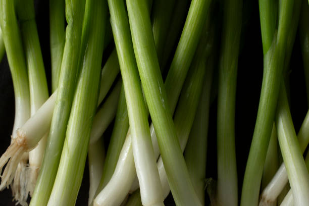 Macrophotography of scallions.